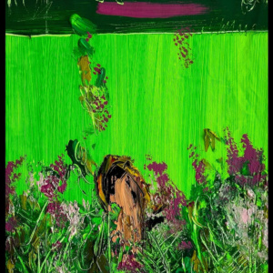 Fiori acidi | Barilaro Giuseppe
